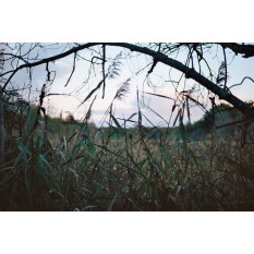 © Ophélie Lerat