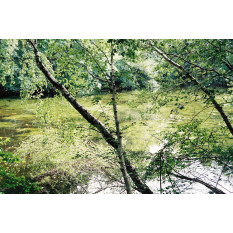 © Hugues Fillaux