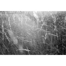 © Hugues Fillaux