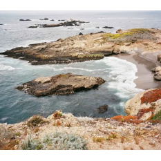 pellicule couleur