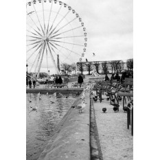 © Ophélie Lerat