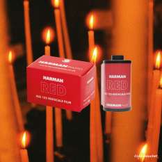 Harman Red 35mm ISO 125 Color Film