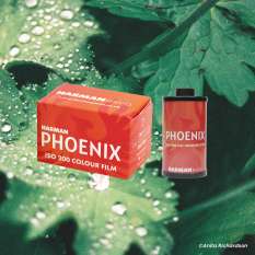 Pellicule couleur Harman phoenix 200