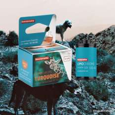 turquoise lomography film