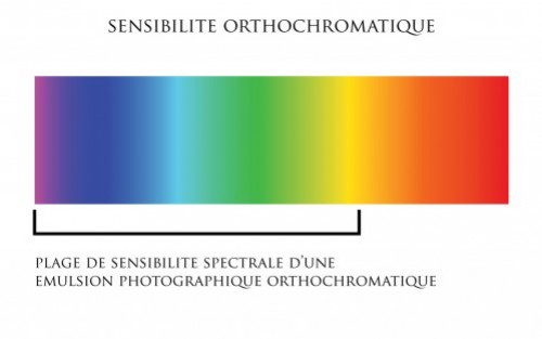 Quelles différences entre une pellicule panchromatique et orthochromatique ?