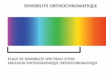 Quelles différences entre une pellicule panchromatique et orthochromatique ?