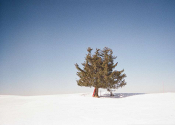 Sélection spéciale HIVER